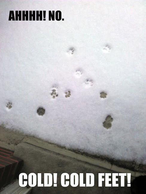 Cold Feet
