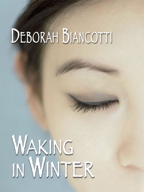 Waking in Winter cover