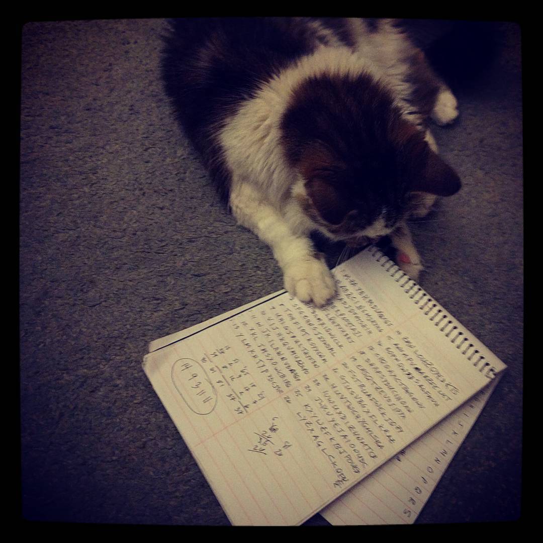 Sadie works on her ciphers