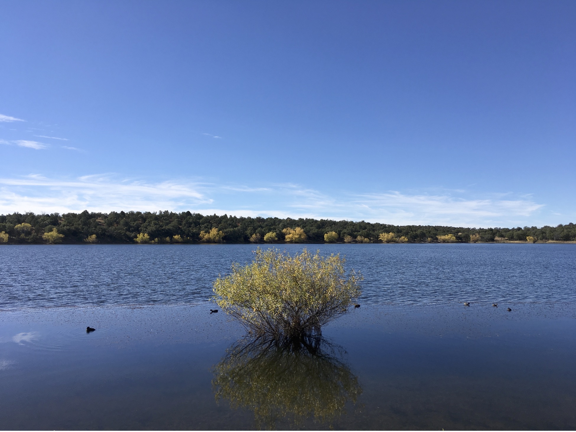 Lake picture 