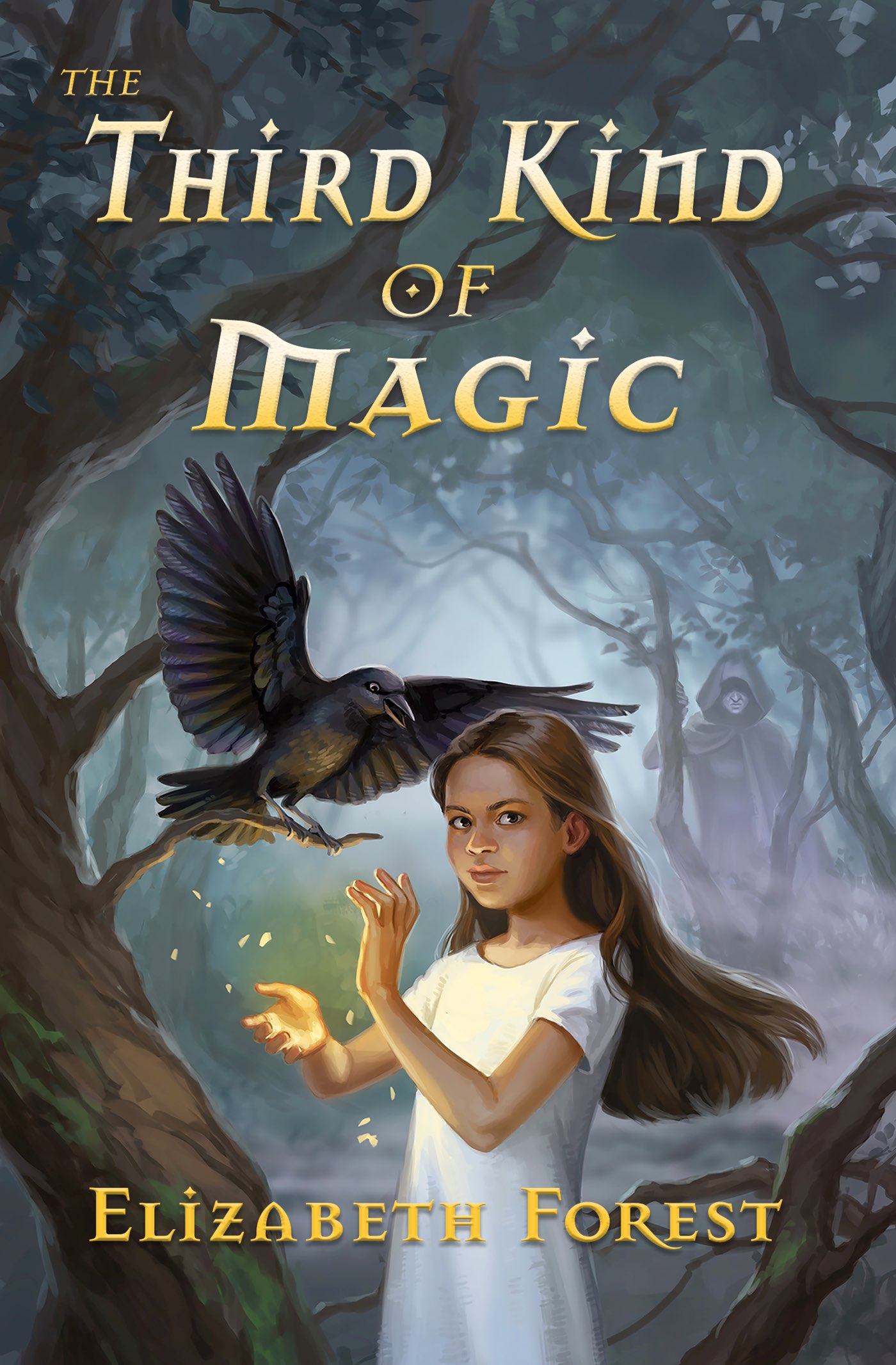 The Third Kind of Magic cover image