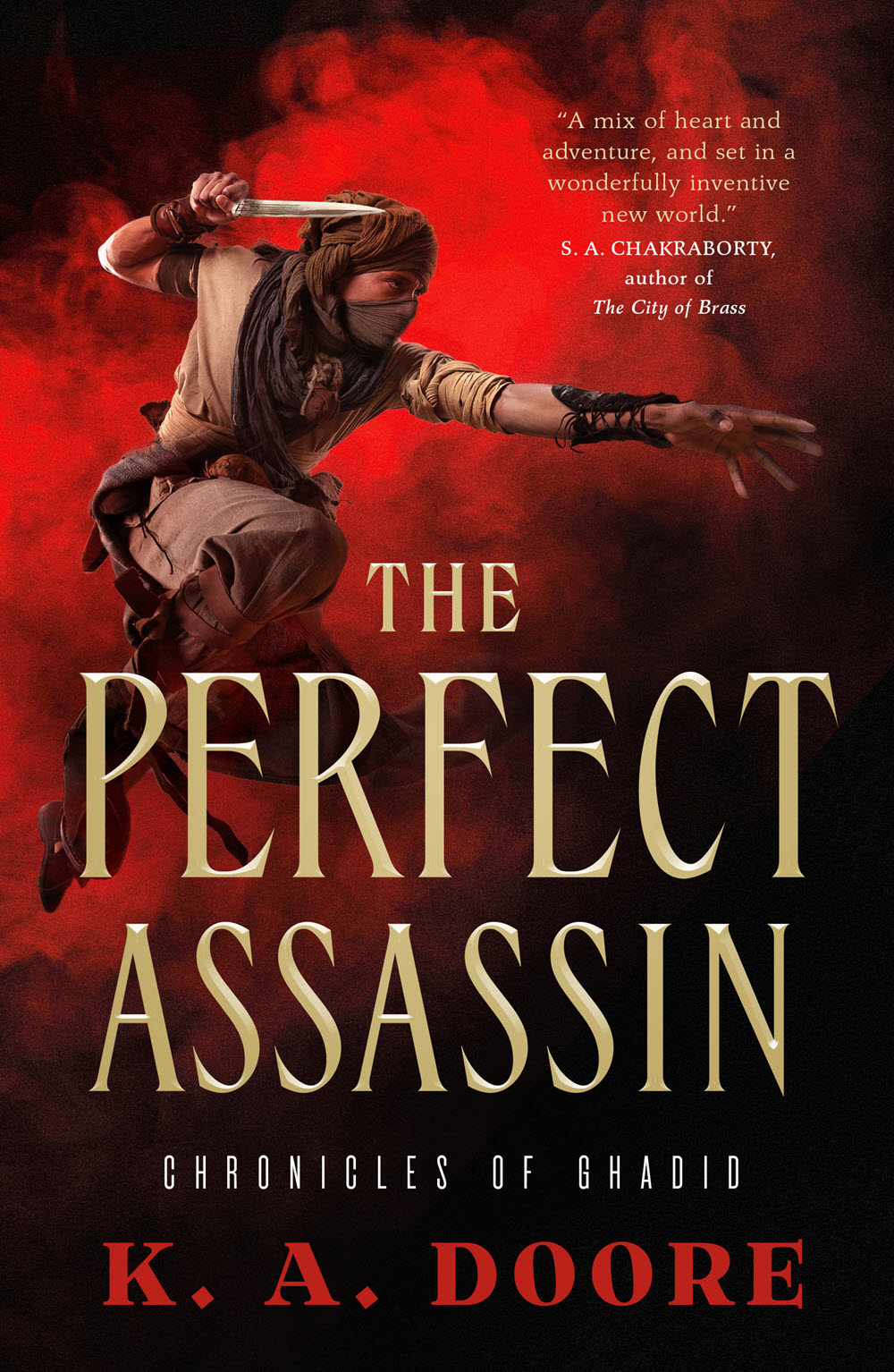 The Perfect Assassin cover image