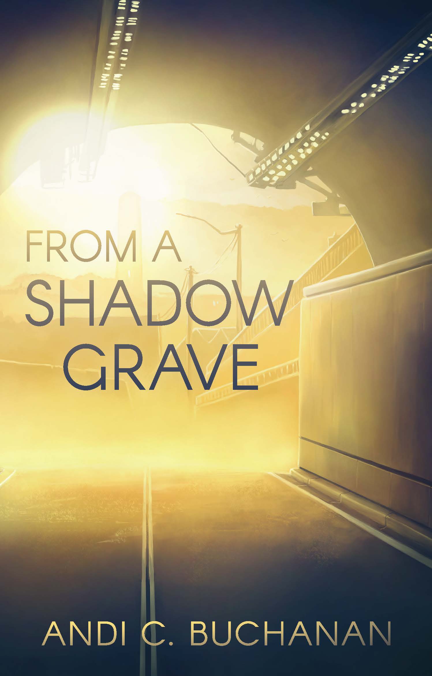 From a Shadow Grave cover image