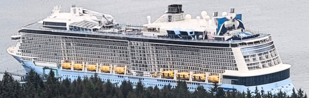 Cruise ship partially hidden by trees.