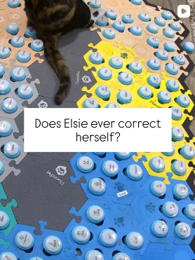 Button board with an overlay of the words, "Does Elsie ever correct herself?"