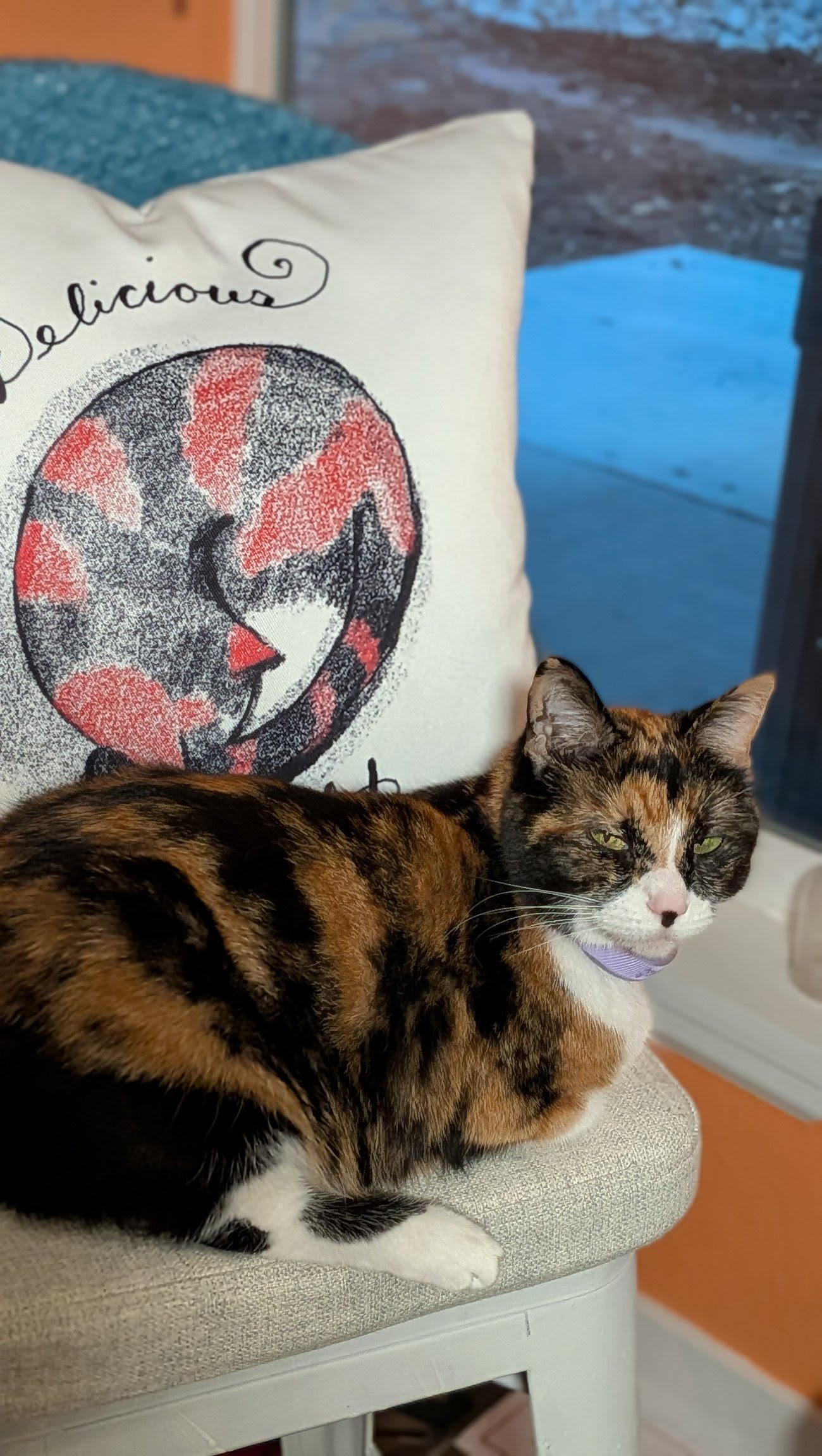 Elsie the calico cat sitting on a chair. Behind her is a decorative pillow with a drawing of Elsie.