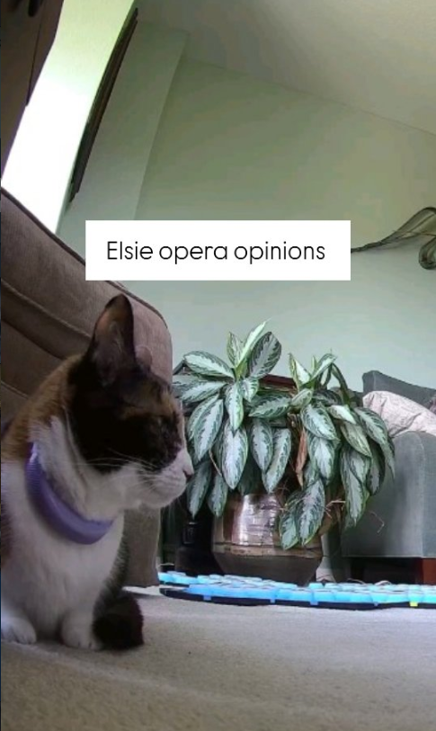 A video still of Elsie sitting on the floor, her buttons just behind her. A text overlay says, "Elsie opera opinions."